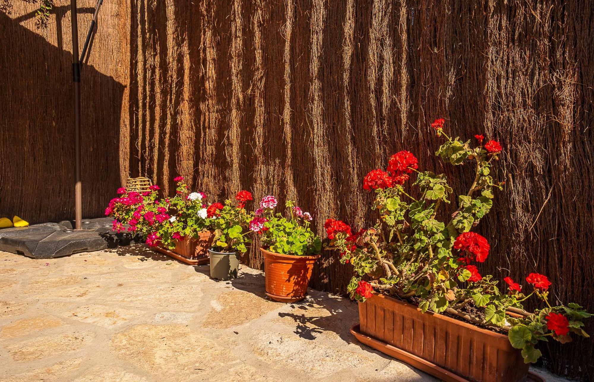 La Puerta Verde Mataelpino Εξωτερικό φωτογραφία